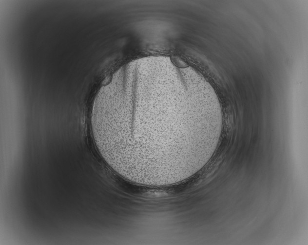 X0000102310749200808221446