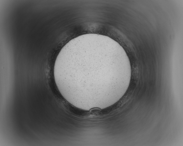 X0000102310750200808221446