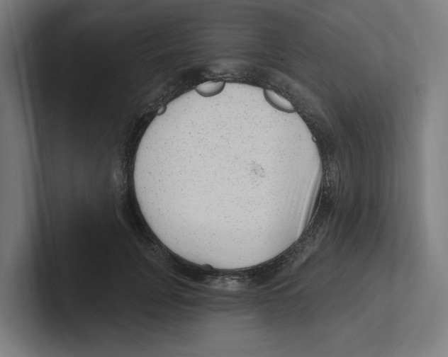 X0000102310751200808221446
