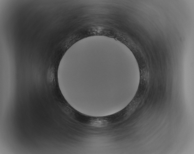 X0000102310754200808221446