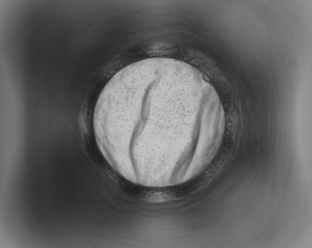 X0000102310755200808221446