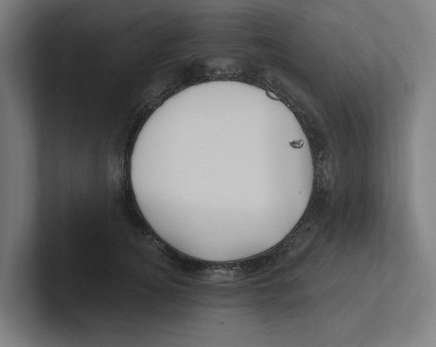 X0000102310756200808221446