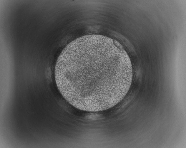 X0000102310759200808221446