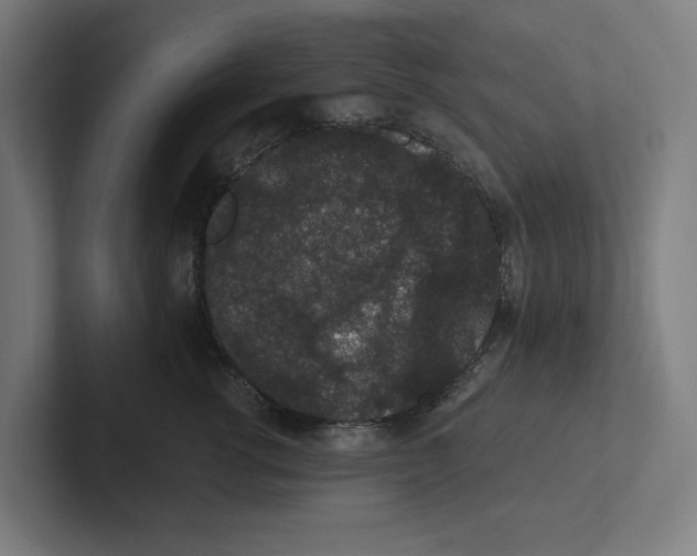 X0000102310762200808221446