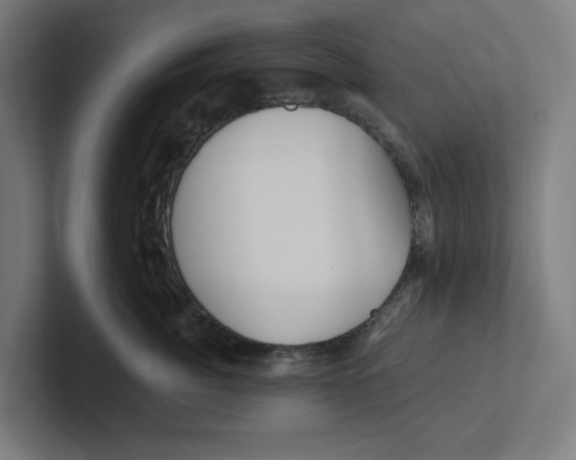 X0000102310764200808221446