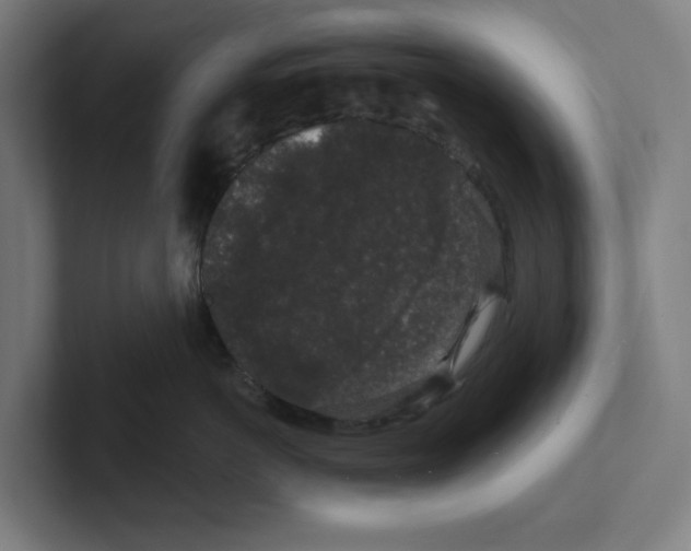X0000102310766200808221446