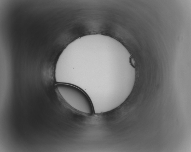 X0000102310768200808221446