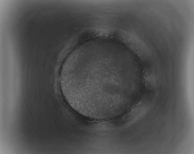 X0000102310769200808221445