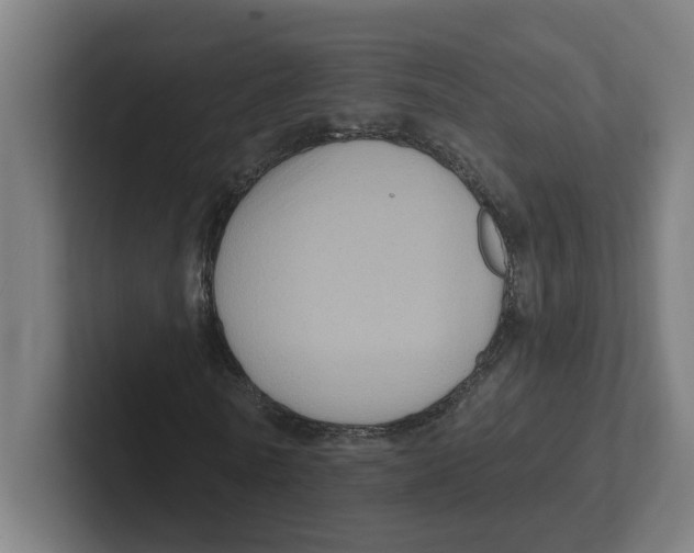 X0000102310770200808221445
