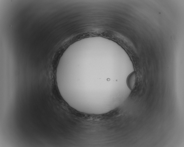 X0000102310773200808221445