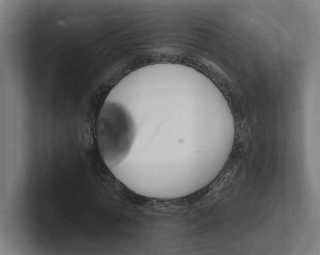 X0000102310774200808221445