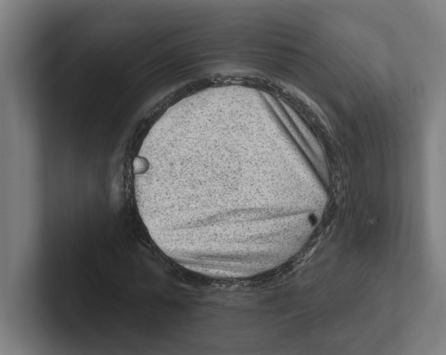 X0000102310775200808221445