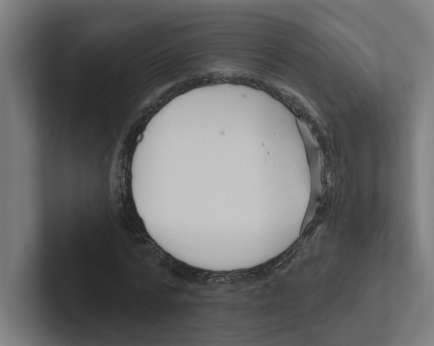 X0000102310776200808221445