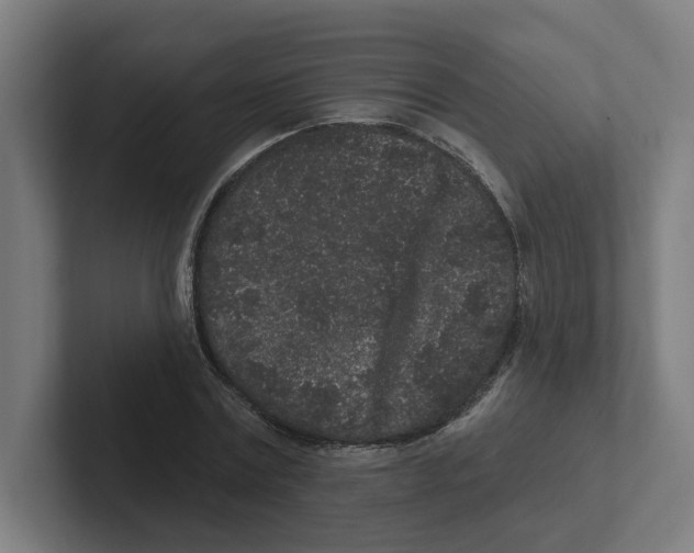 X0000102310779200808221445