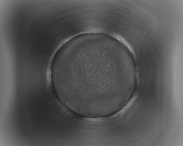 X0000102310781200808221445
