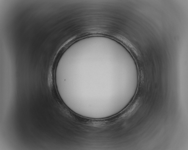 X0000102310782200808221445