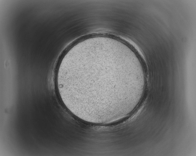 X0000102310783200808221445
