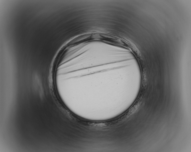 X0000102310784200808221445