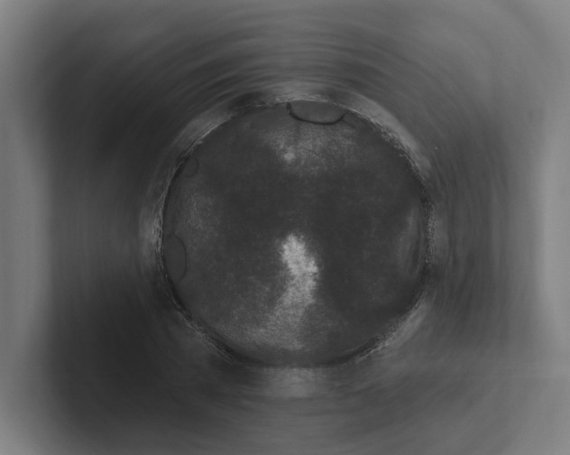 X0000102310785200808221445