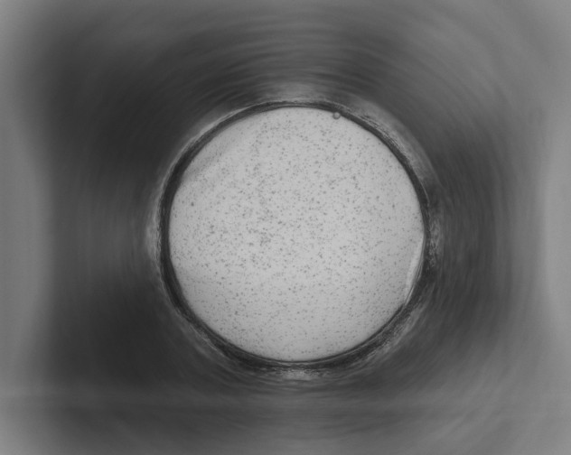 X0000102310787200808221445