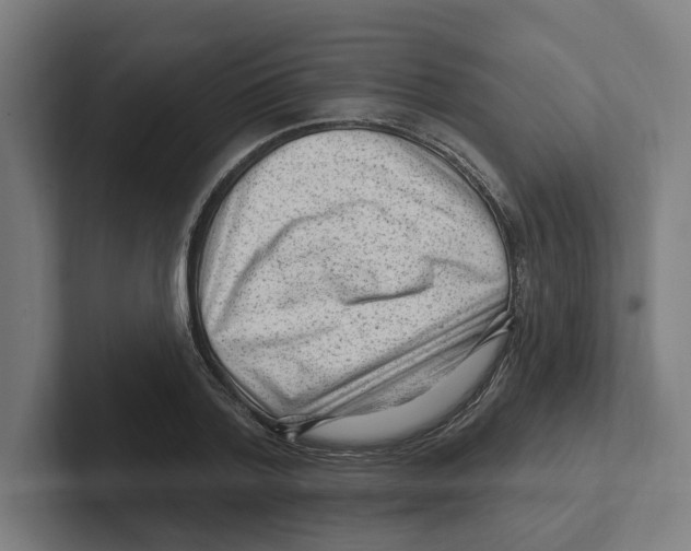 X0000102310788200808221445