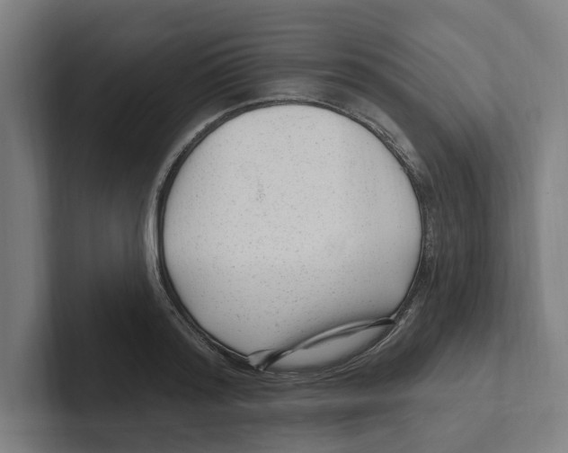 X0000102310796200808221445