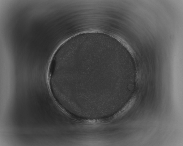 X0000102310797200808221445
