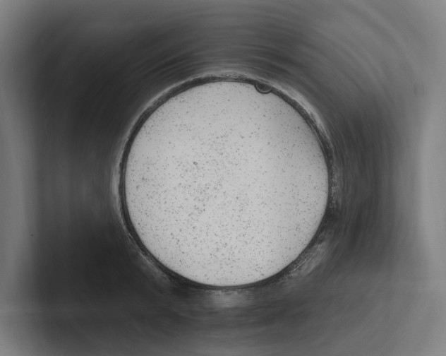 X0000102310799200808221445