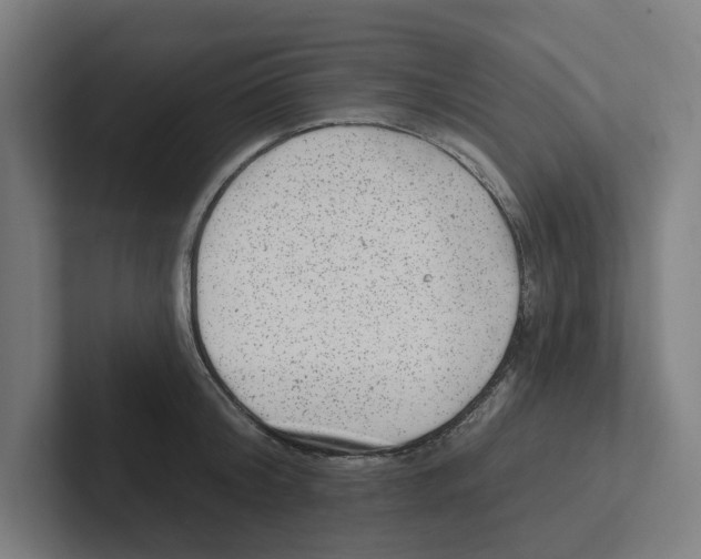 X0000102310804200808221445