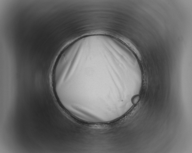 X0000102310805200808221445