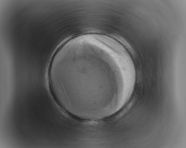X0000102310806200808221445