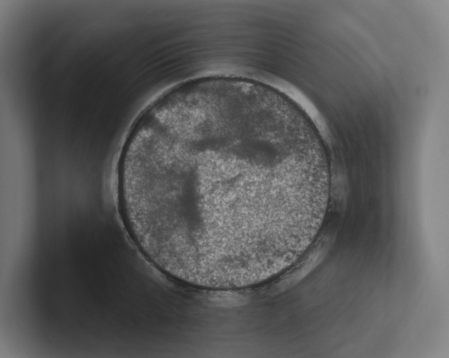 X0000102310807200808221445