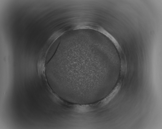 X0000102310809200808221445