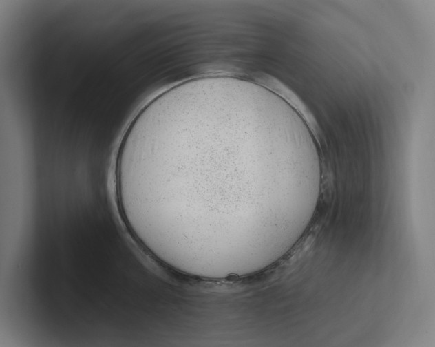 X0000102310811200808221445