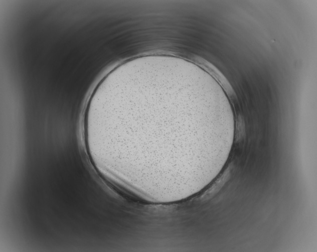 X0000102310812200808221445
