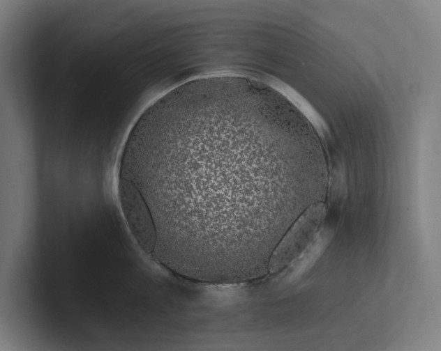 X0000102310813200808221445