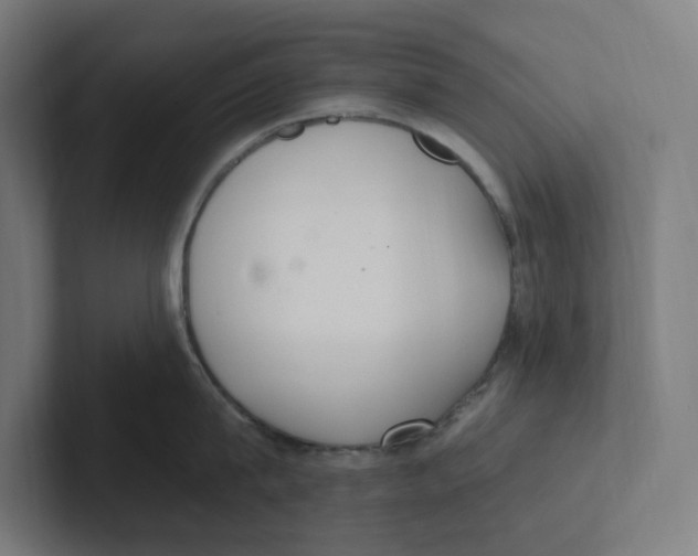 X0000102310815200808221445