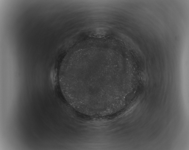 X0000102310818200808221444