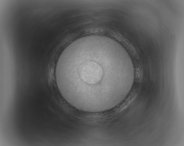 X0000102310820200808221444