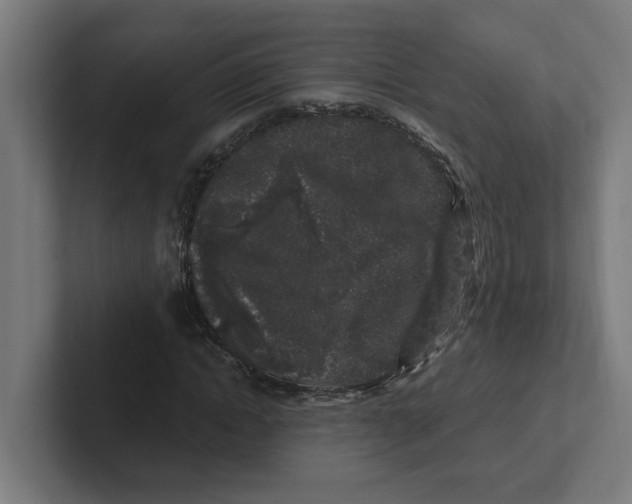 X0000102310822200808221444