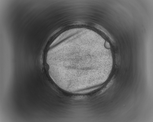 X0000102310826200808221444