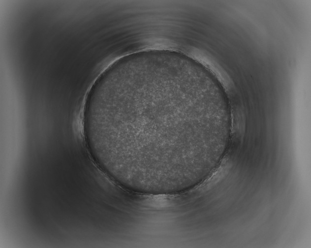 X0000102310828200808221444