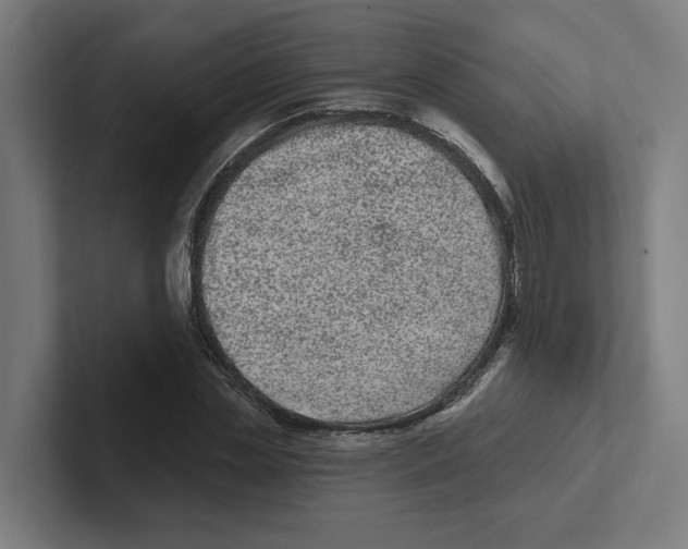 X0000102310829200808221444