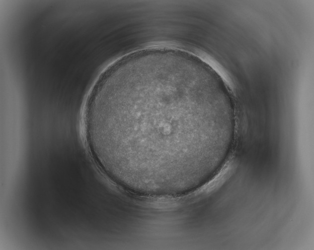 X0000102310832200808221444