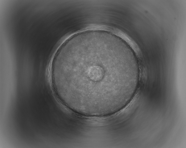 X0000102310836200808221444