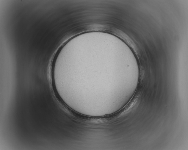 X0000102310843200808221445