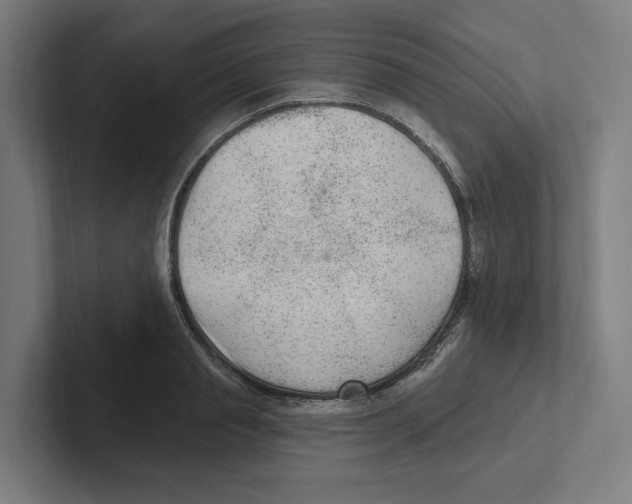 X0000102310845200808221445