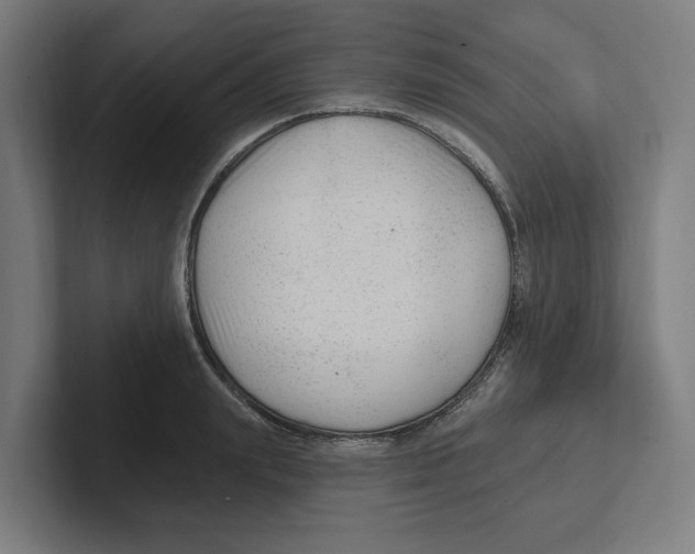 X0000102310847200808221445