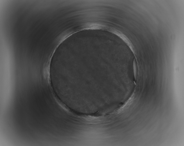 X0000102310850200808221445