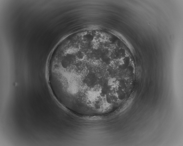 X0000102310851200808221445